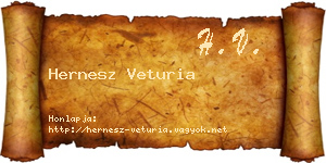 Hernesz Veturia névjegykártya